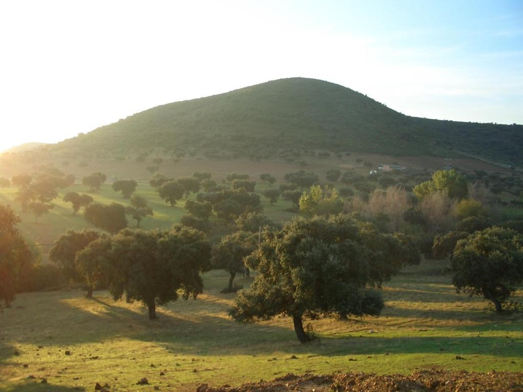 Cortijo El Criadero El Hoyo Rom bilde
